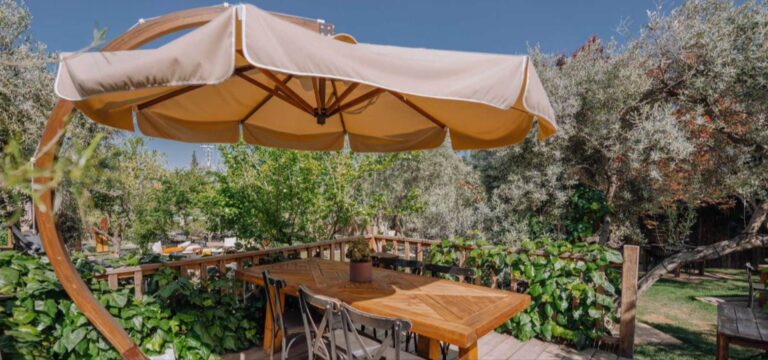 A table beneath a parasol in the olive garden, Urla Sahne