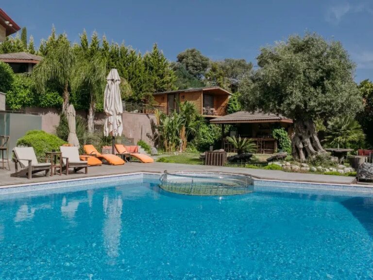 The outdoor pool with loungers among the olive trees, Urla Sahne