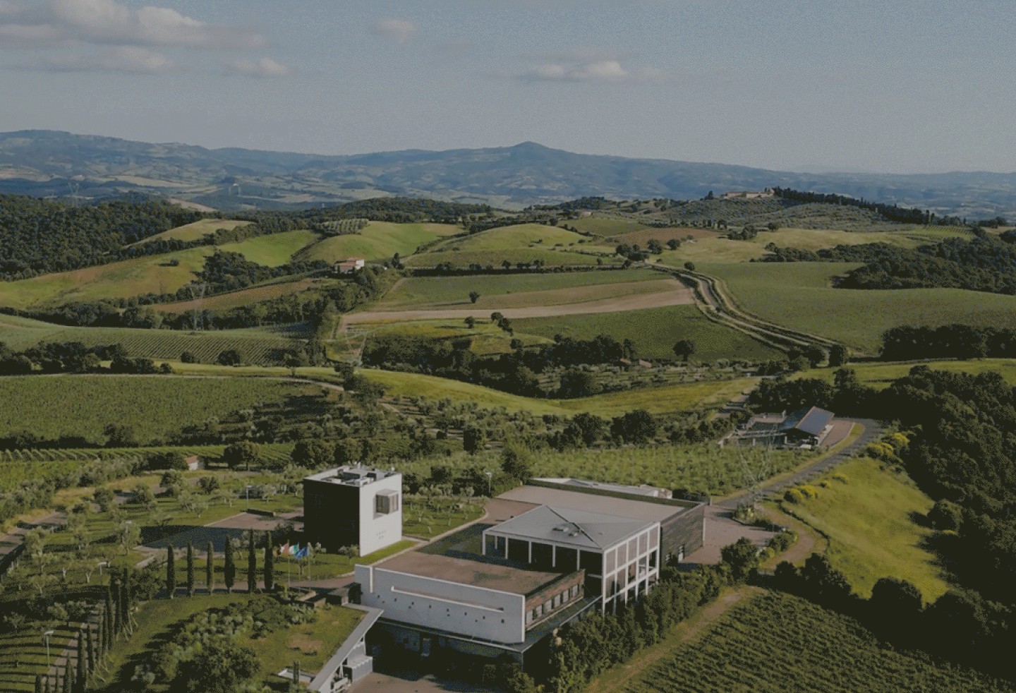 Collemassari