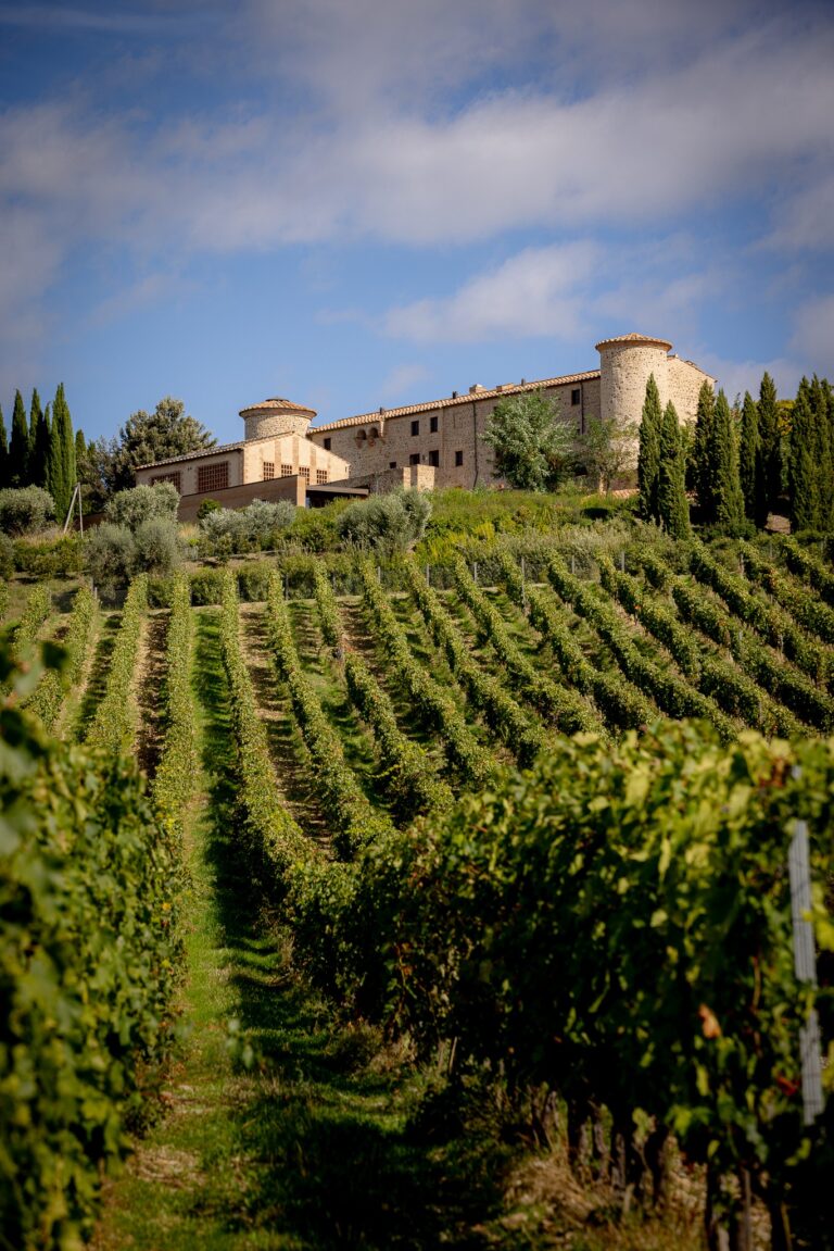 Collemassari