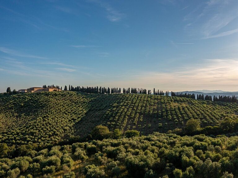 Collemassari
