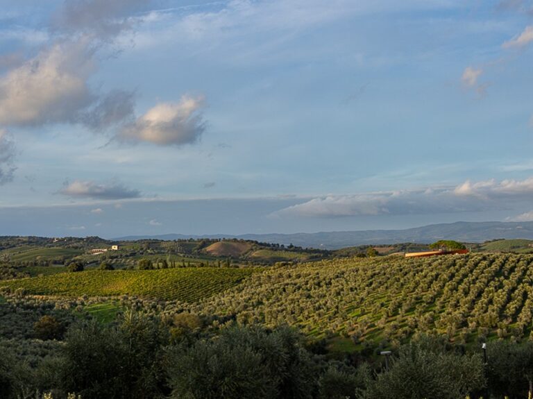 Collemassari