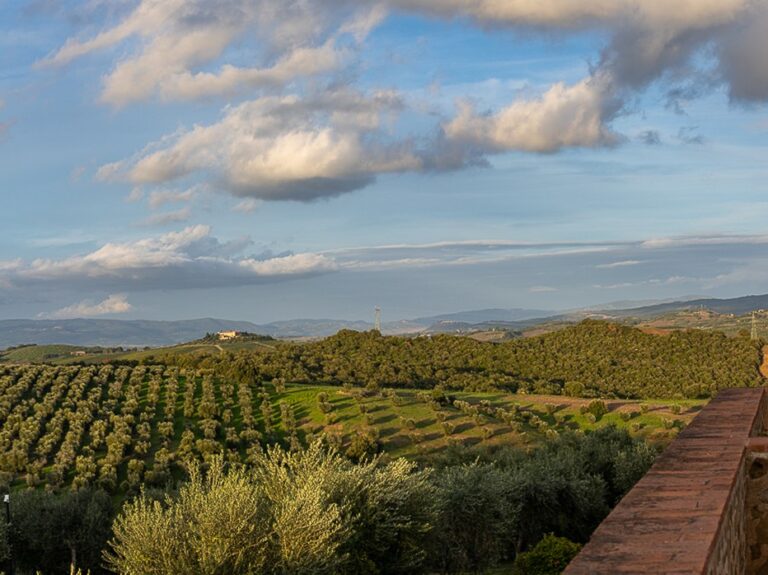 Collemassari