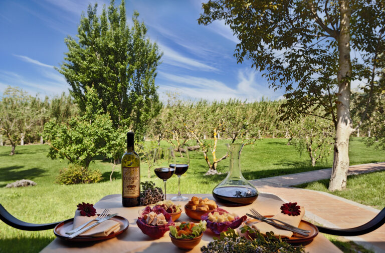 A table set among the vines, Valle del Marta