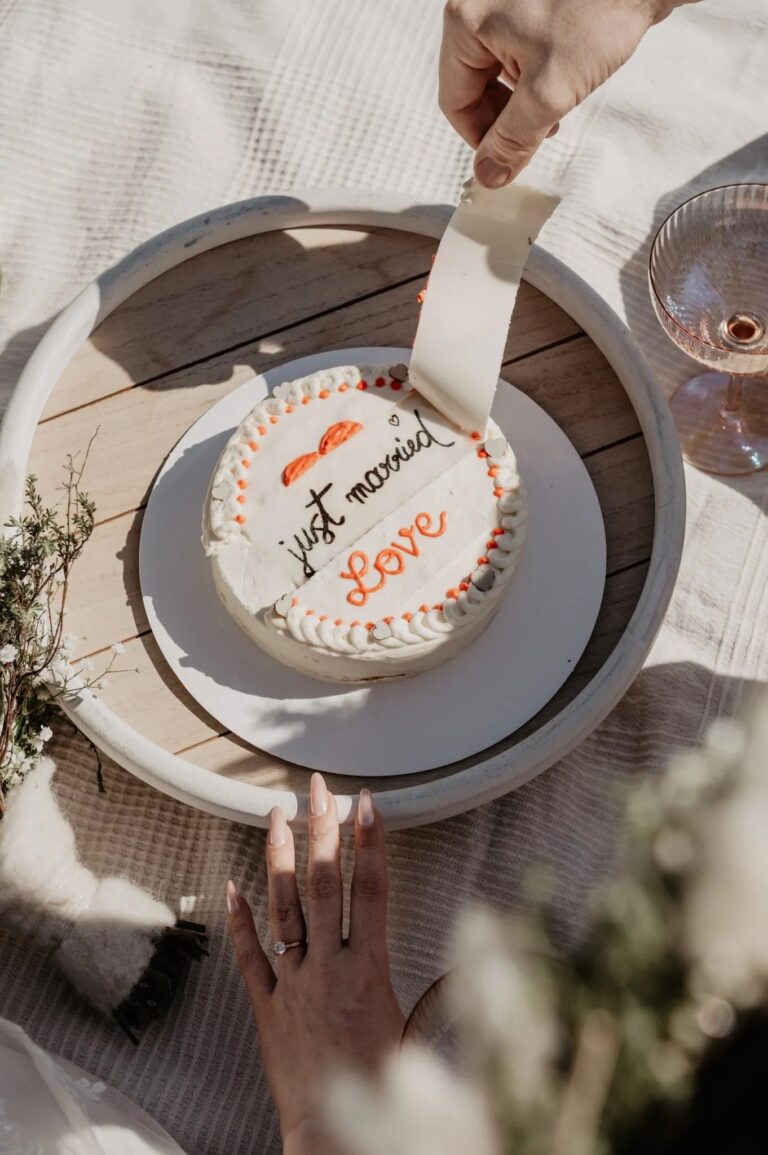 Just married cake being cut on a picnic tray, Vienna Picnics