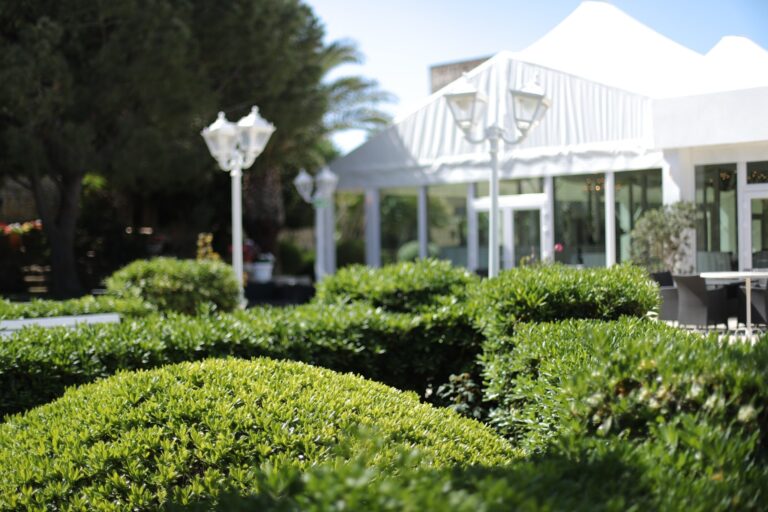 Hedged gardens beside the marquee, Villa Arrigo