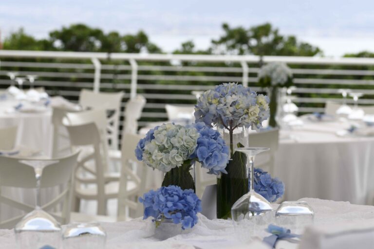 Blue Hydrangeas on the Sea-View Terrace, Villa Balke
