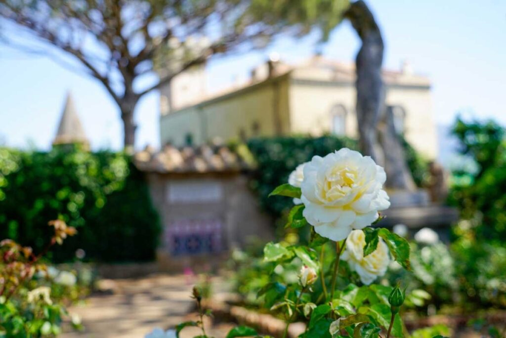 Roses in the garden with the villa behind, Villa Cimbrone