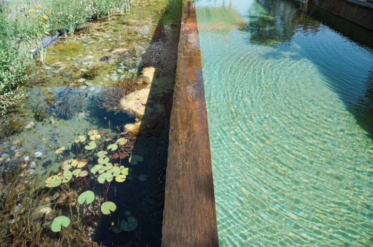 The natural swimming pool and its aquatic plants, Villa la Tosca