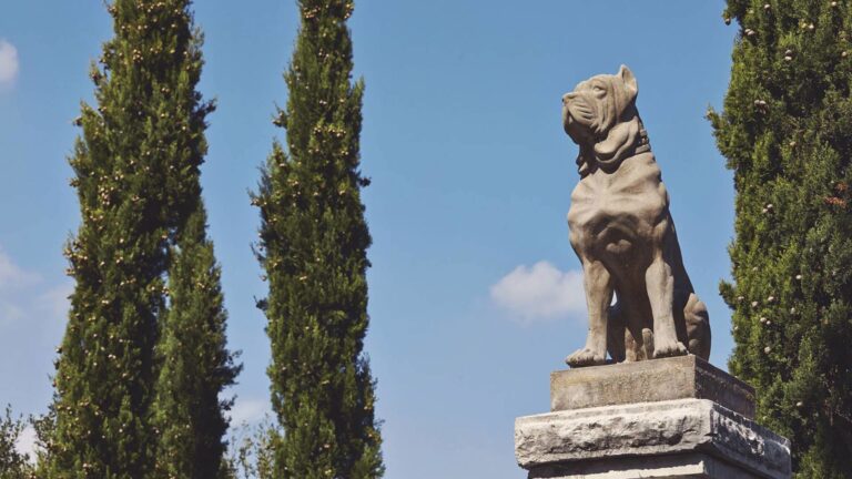 Stone dog on a gate pillar, Villa Mangiacane