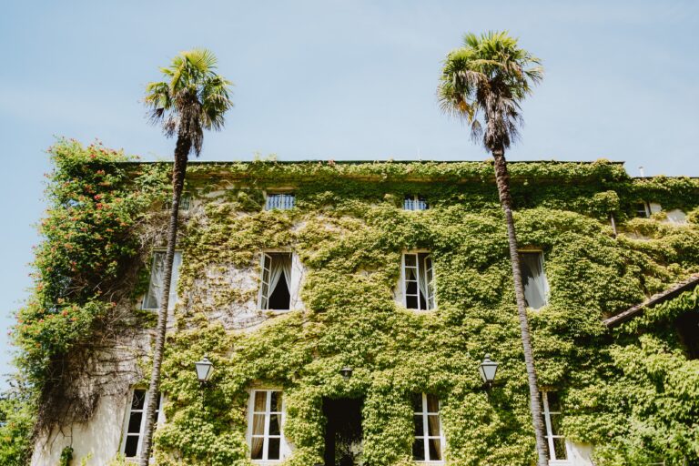 The ivy-clad villa wall with palm trees, Villa Michaela