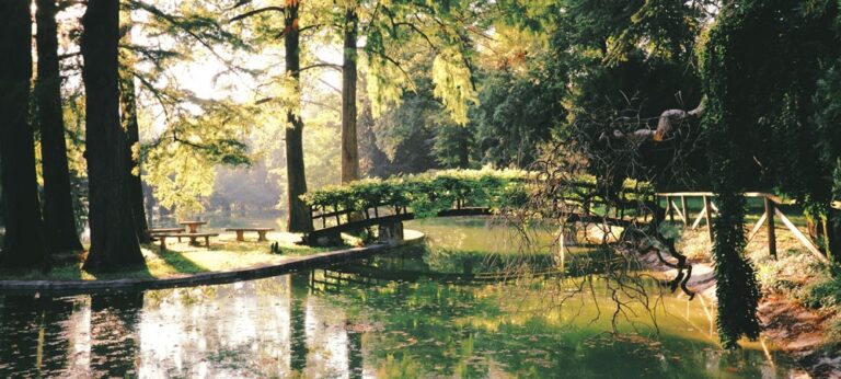 The park pond and bridge, Villa Mosconi Bertani
