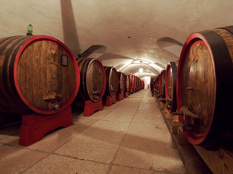 The historic wine cellar with its large oak casks, Villa Mosconi Bertani