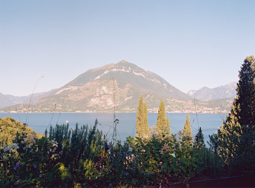 Lake Como and the mountains beyond, seen through cypress trees from the hillside