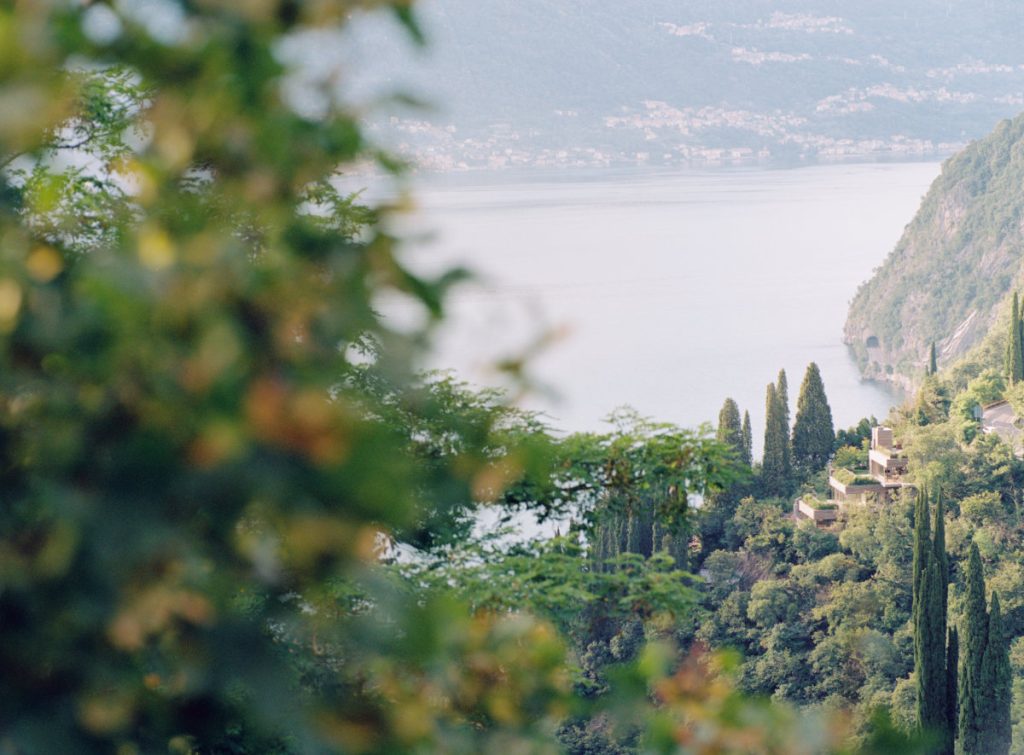 The lake through the leaves, with cypress trees and a village on the shore