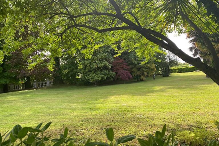 The park lawn beneath the spreading branches of a century-old tree, Villa Pace Park Hotel Bolognese