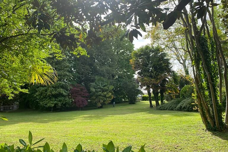 The green park with fan palms and mature trees, lawns opening between them, Villa Pace Park Hotel Bolognese
