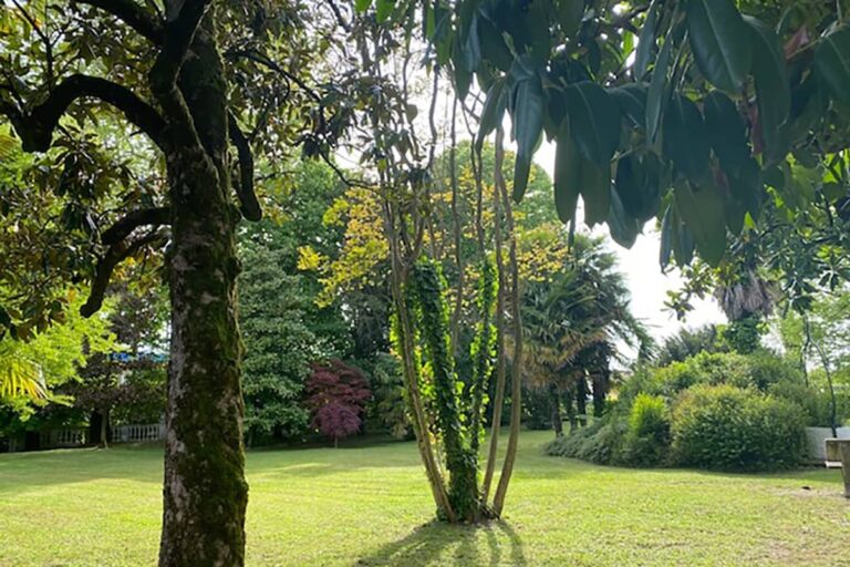 A single tree rising from the clipped lawn of the villa park, Villa Pace Park Hotel Bolognese