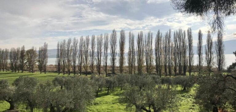 Villa Polvese Resort and Oil Farm