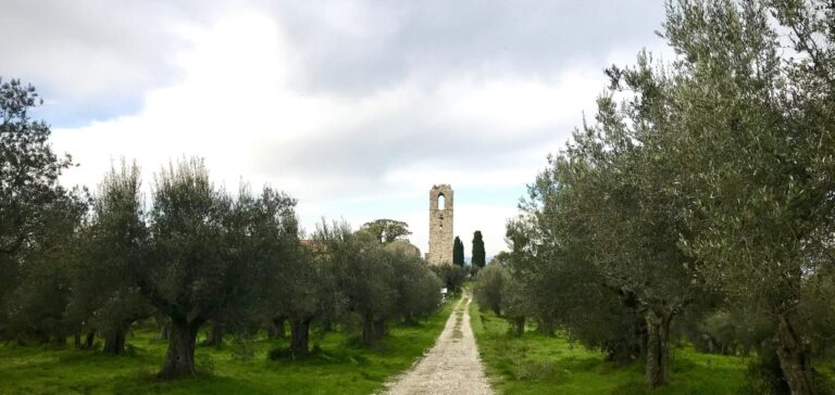 Villa Polvese Resort and Oil Farm