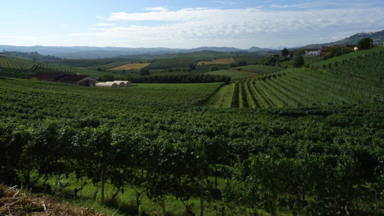 , Villa Quaranta Tommasi Wine Hotel & SPA