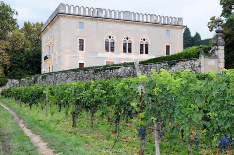 The villa seen from the vineyard, Villa Rizzardi