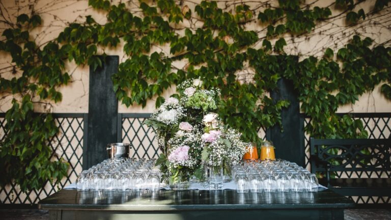 A drink corner among the climbers, Villa Rizzardi