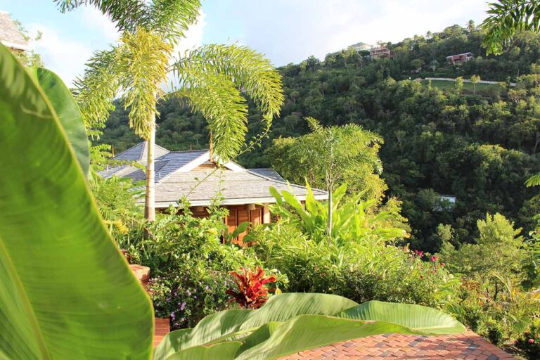 A cottage roof among palms and foliage in the garden, Villa Susanna St Lucia