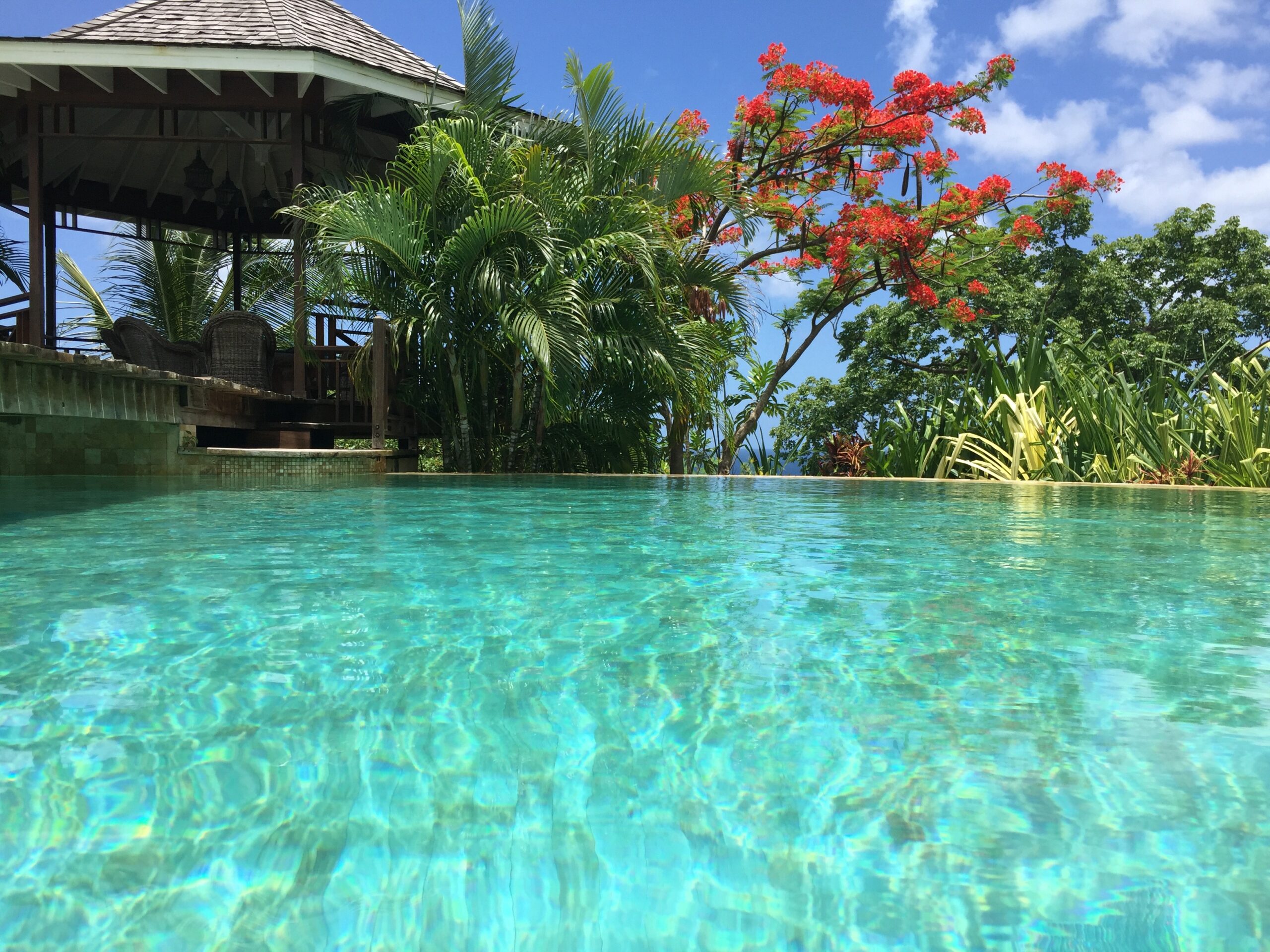 The infinity pool with the gazebo and flowering trees behind, Villa Susanna St Lucia
