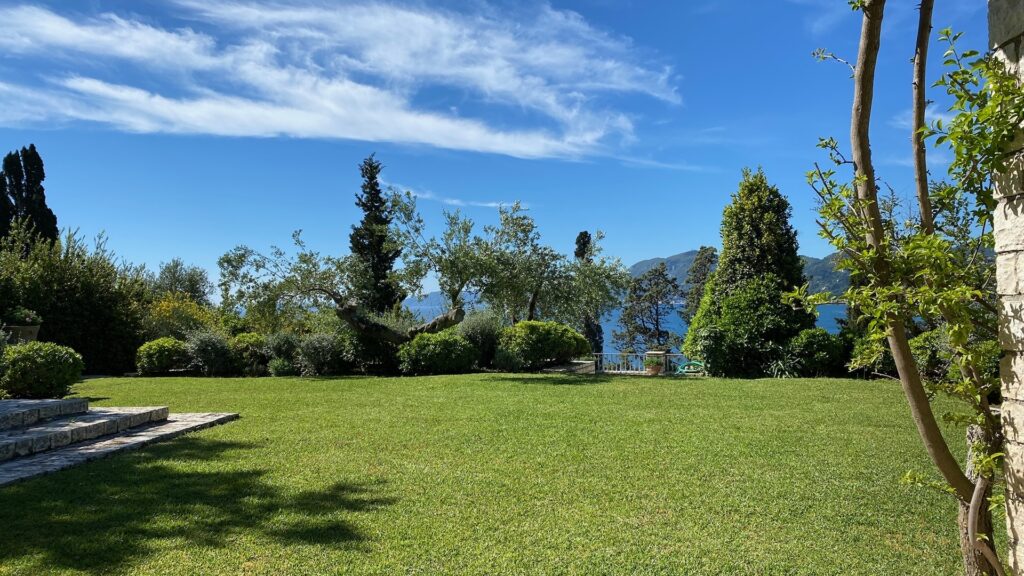 Lawn with views through the trees, Villa Sylva