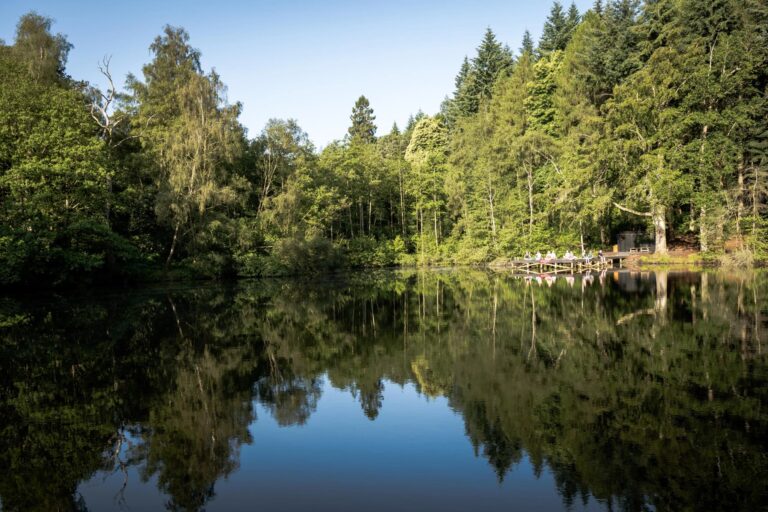 The estate's wild swim lake reflecting the surrounding woodland, with the jetty on the far bank, Wasing Park Weddings