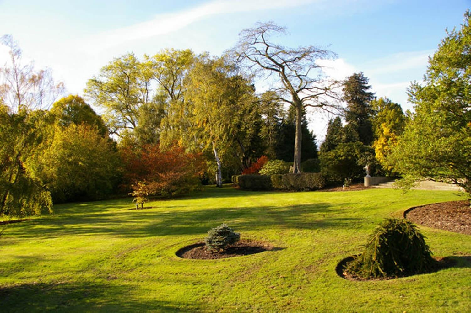 Lawn and specimen trees in the arboretum, West Lodge Park