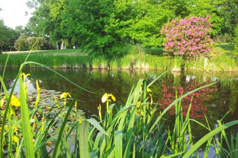 The pond and flowering borders, West Lodge Park
