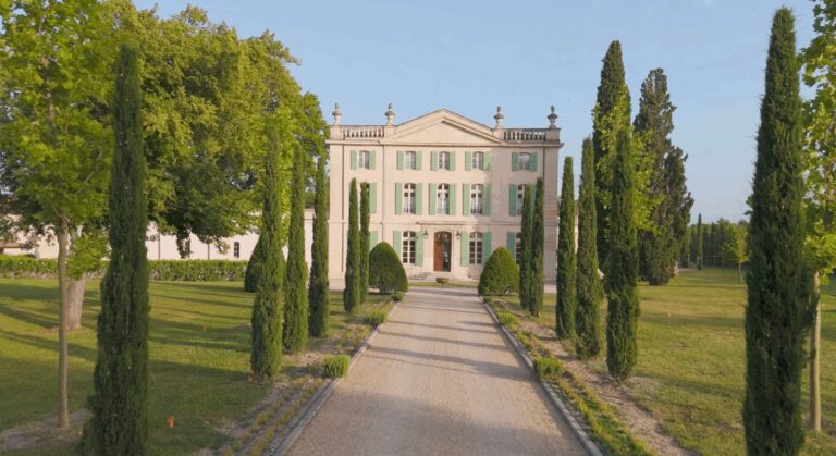 The cypress avenue leading to Château de Tourreau, Provence (film still), Whitesfilm Wedding Videography