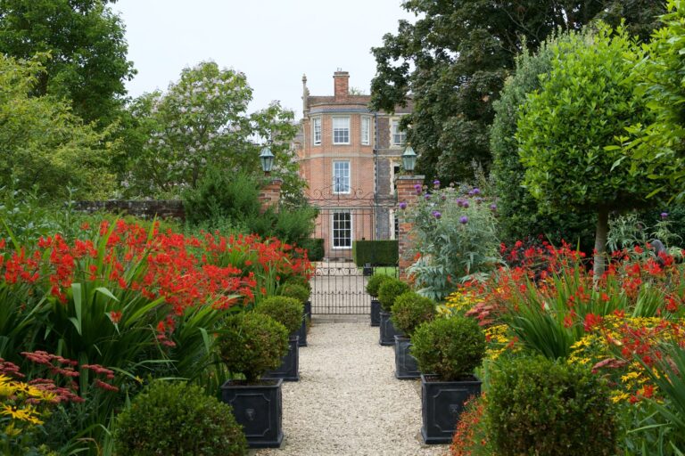 Red crocosmia and clipped box lining the path from the walled garden gate to the house, Wickham House