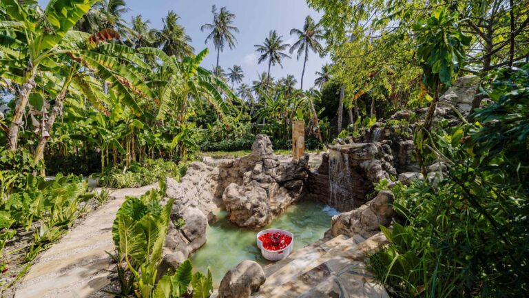 Garden pond with rocks and tropical planting, Ycona Luxury Resort