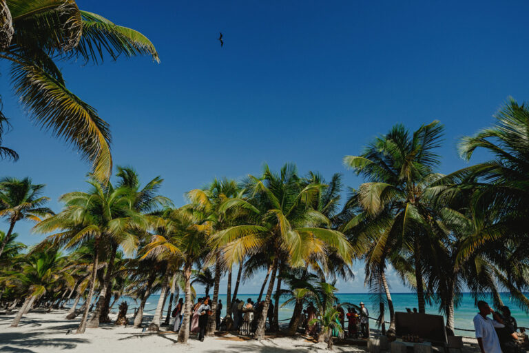 A palm grove on the beach where a Riviera Maya wedding is set, YD Events
